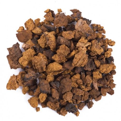 Chaga Mushroom Image