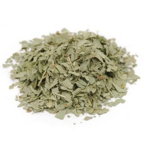 Eucalyptus Leaf Image