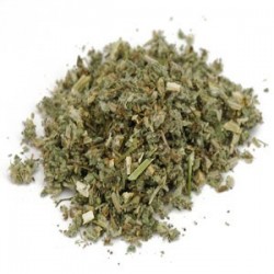 Horehound