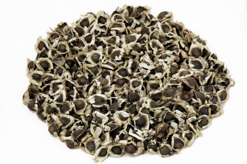 Moringa Seeds Image