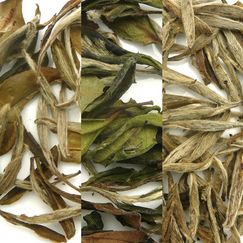 White Tea Sampler Image